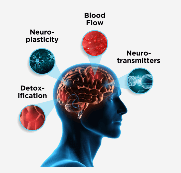  How does work NeuroQ